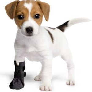 Wound Recovery Boot for Dogs. Protects and Heals Paw. Made from Softshell, Water Resistant and Breathable Material. Recommended by Vets. (Medium, Black)
Brand: VetMedWear