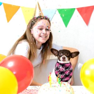 Dog Birthday Party Supplies Girl, VIPITH Dog Birthday Bandana Clothing & Accessories for Dogs, Dog Birthday Hat Dog Birthday Decorations Dog Scarf with Bow Tie Hat Number for Pet Puppy Cat (Pink/Girl) - Image 8