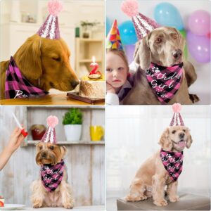 Dog Birthday Party Supplies Girl, VIPITH Dog Birthday Bandana Clothing & Accessories for Dogs, Dog Birthday Hat Dog Birthday Decorations Dog Scarf with Bow Tie Hat Number for Pet Puppy Cat (Pink/Girl) - Image 6
